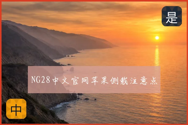NG28中文官网苹果侧载注意点
