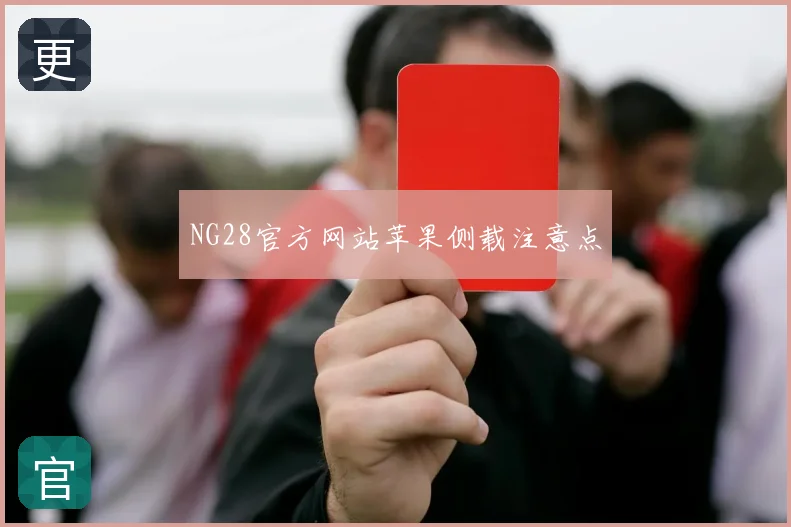 NG28官方网站苹果侧载注意点