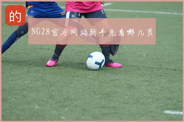 NG28官方网站新手先看哪几页