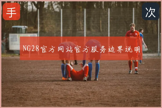NG28官方网站官方服务边界说明