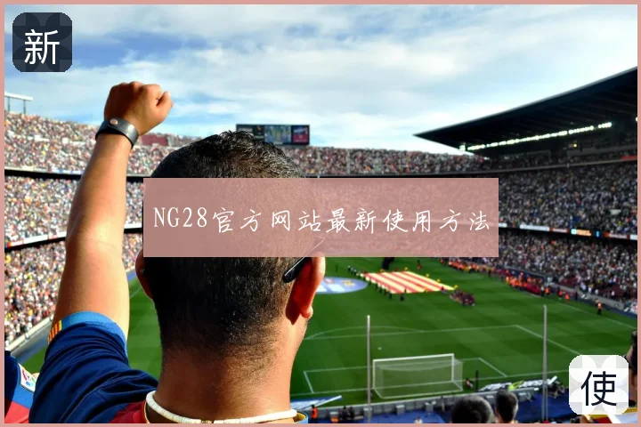 NG28官方网站最新使用方法